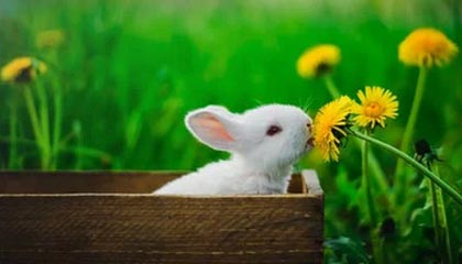 乐鱼电竞-英格兰女足队员发挥卓越，连续六场不败，英格兰女足超级联赛