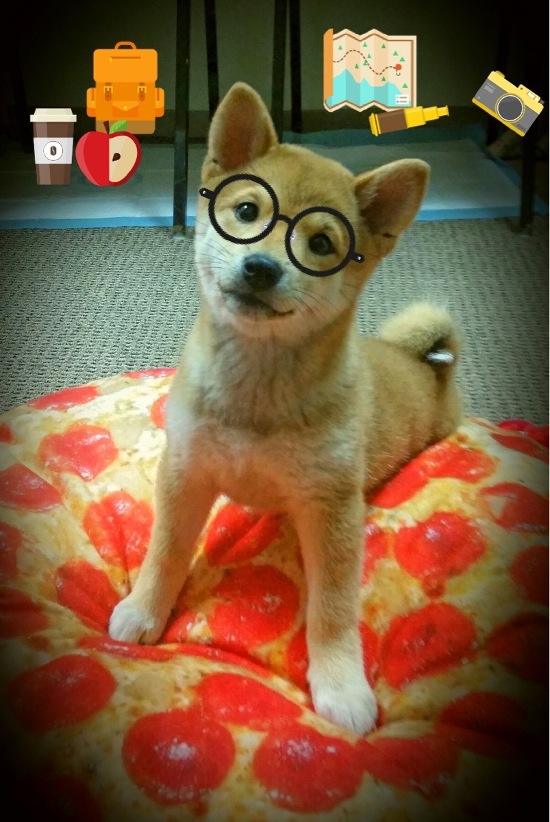 leyu乐鱼在线登录入口-Street Fighter VI世界电子竞技锦标赛即将开幕，世界电子竞技比赛项目