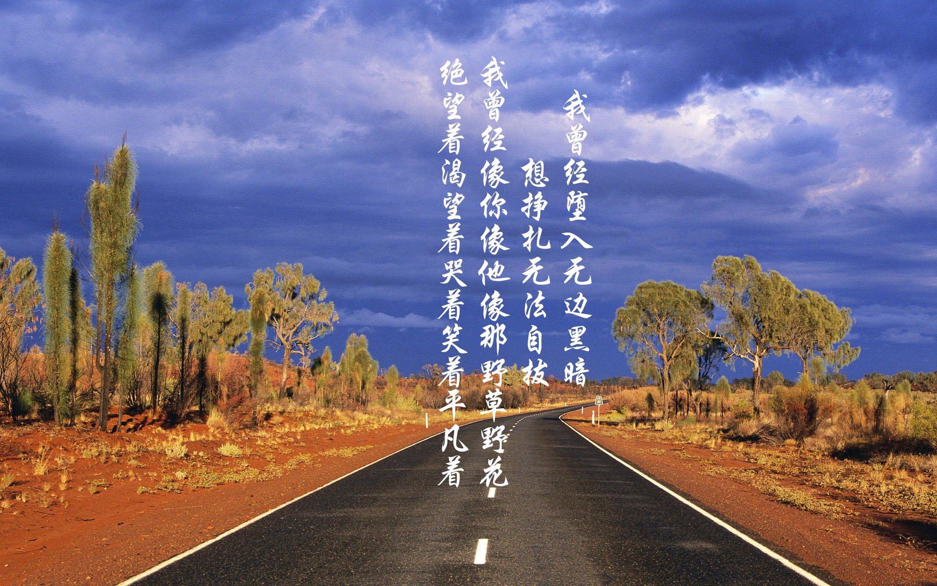 WRC最具爆点的比赛总结与精彩瞬间回顾,wrc经典视频