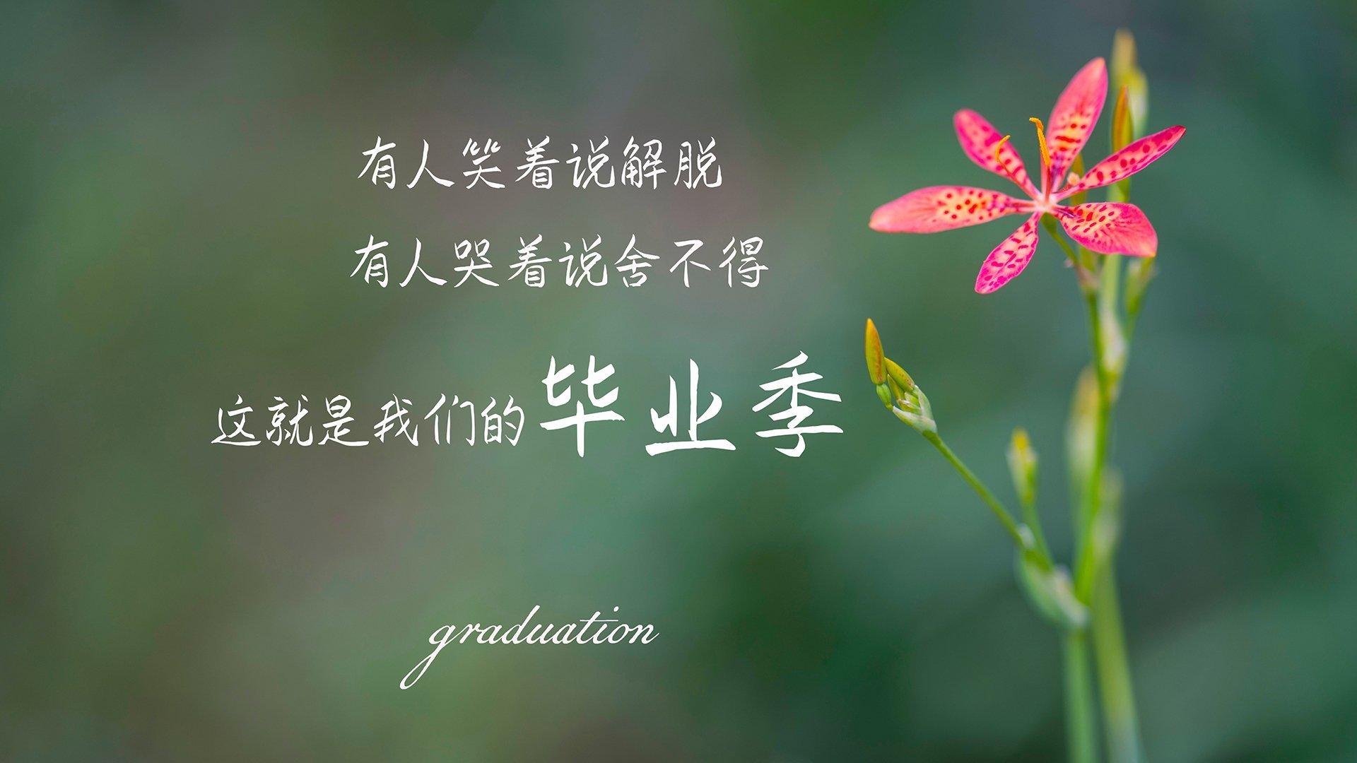 《多国战队的文化碰撞:跨文化交流的火花》