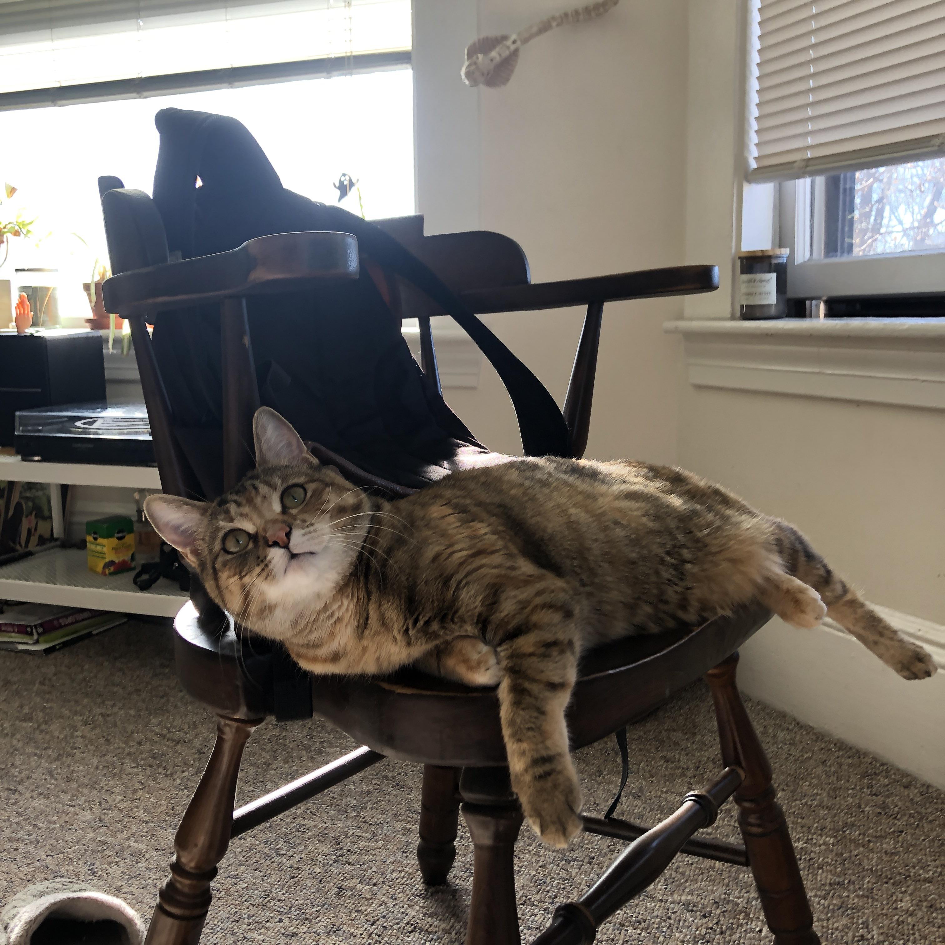 【规则深入】裁判如何应对比赛中的争议犯规?,比赛过程中当裁判员发现误判时只能在什么时间更改判决