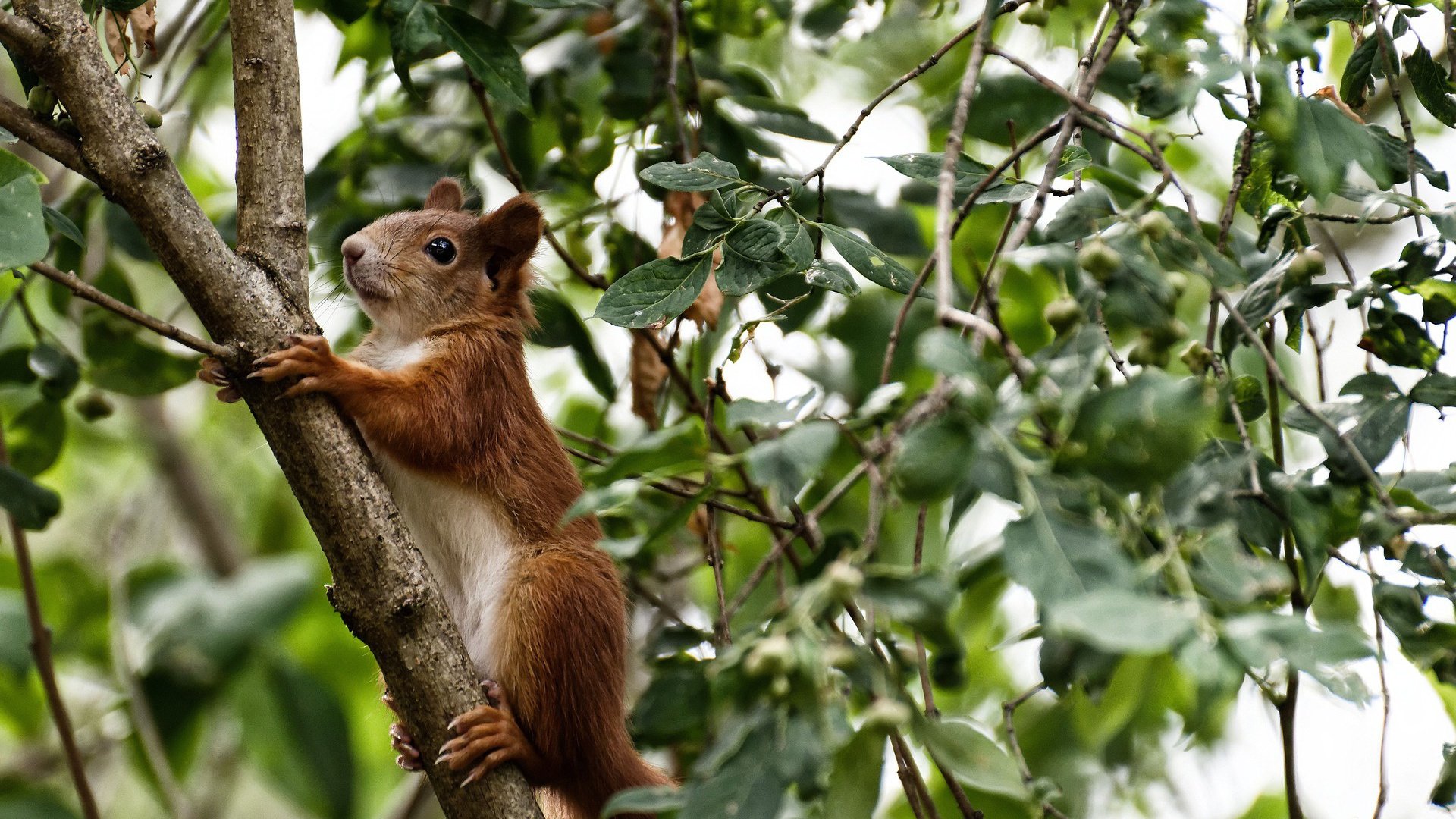 乐鱼（中国）体育官方网站-【运动员自述】丁俊晖：我平衡压力和比赛心态的秘诀，丁俊晖是哪项运动的职业选手