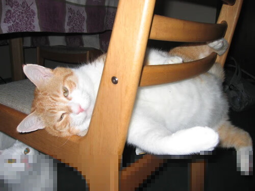 Leyu Sport登录入口-中超明星球员转会动态全解析，中超转会身价排名