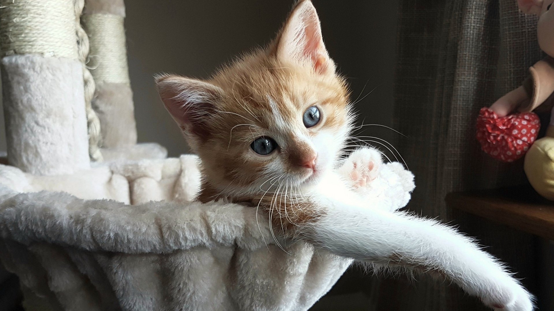 乔治复出后带领快船迎来连续胜利,乔治复出后带领快船迎来连续胜利的原因