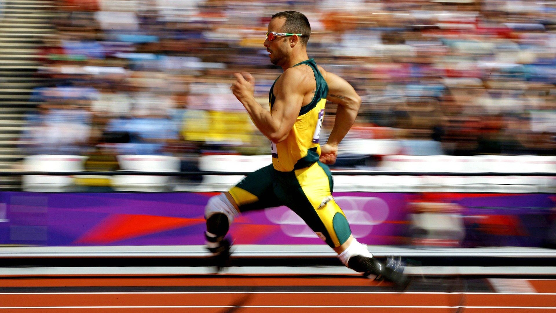 APP下载 LY Sports-克罗地亚马术协会与亚洲马术协会建立合作关系，推动区域发展。