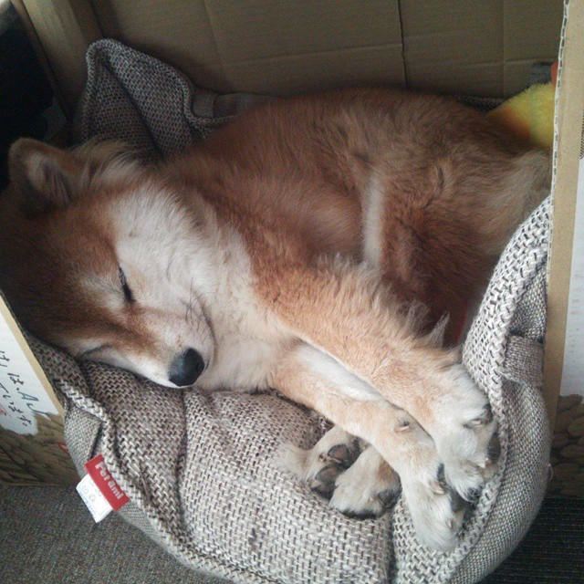 APP下载 LY Sports-投入升级：体育场馆设施保障中国篮球比赛顺利进行，中国篮球体育馆排名