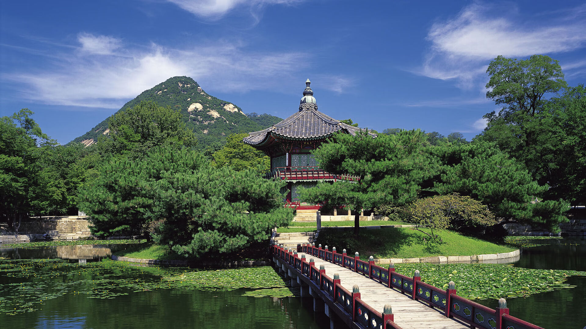 未来已来:NBA如何用科技重塑比赛体验?,nba黑科技