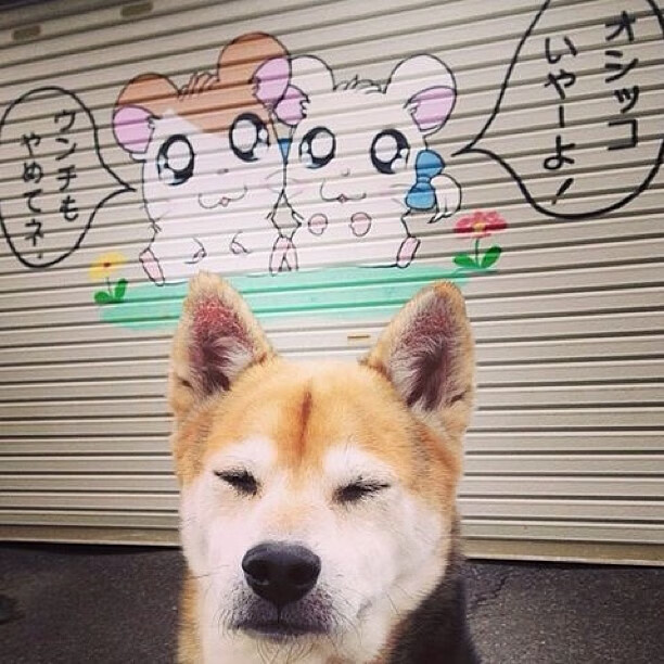 莱美推出全新普拉提课程LESMILLS PILATES,登陆中国市场,莱州普拉提