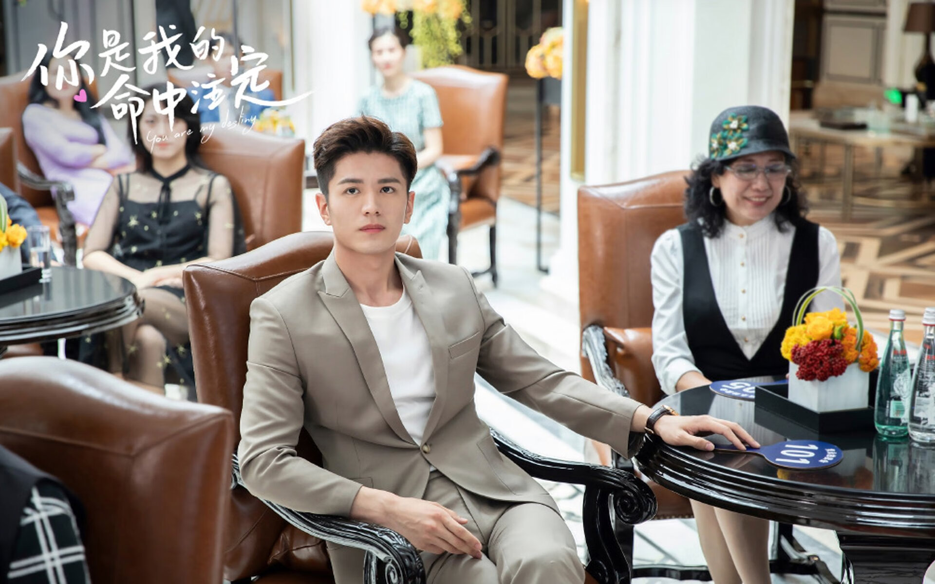 追寻荣耀:欧冠赛场上的“夺冠之梦”,欧冠夺冠资格赛