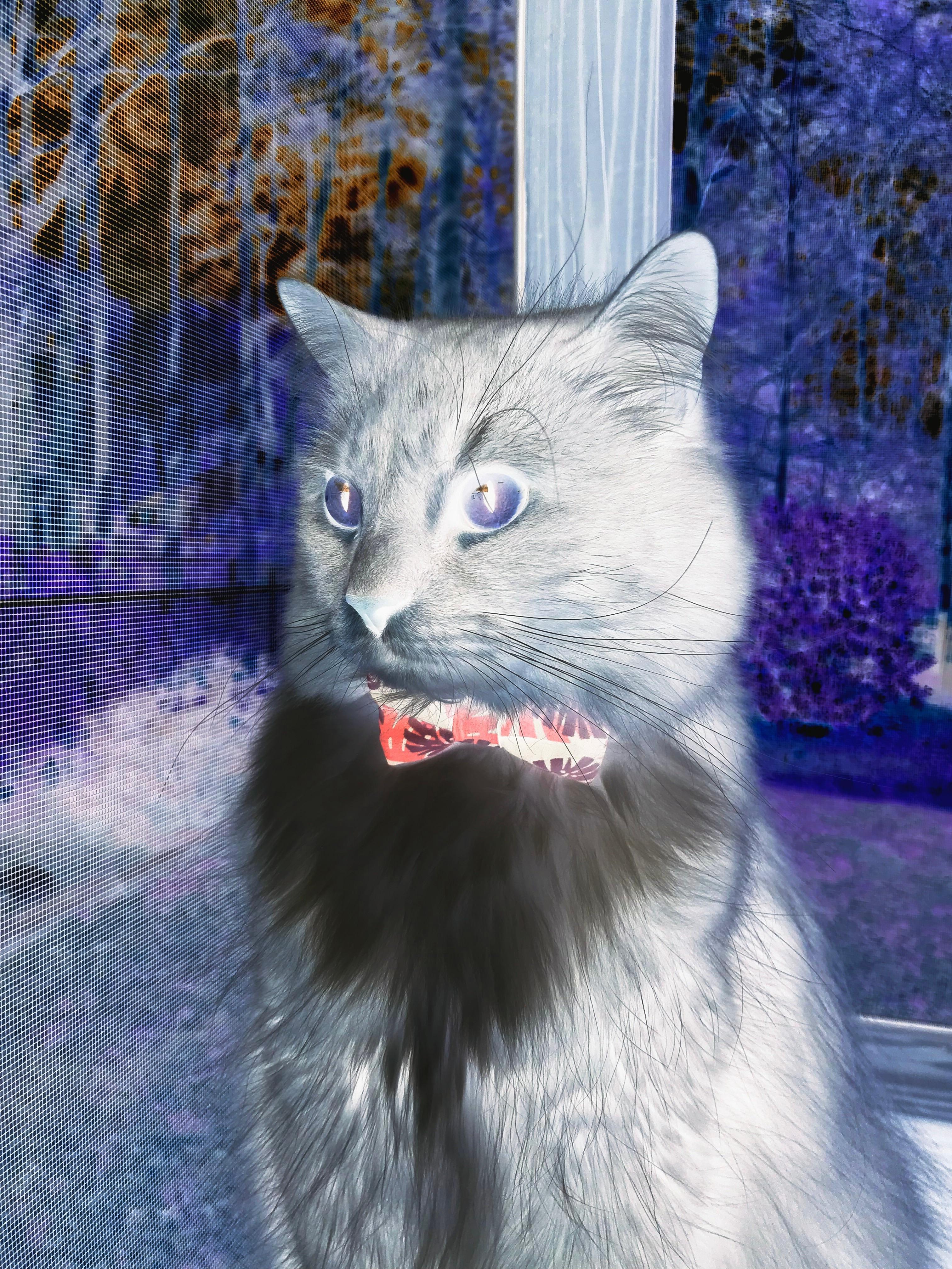 RNG选手个人荣誉榜添新星,rng荣誉介绍