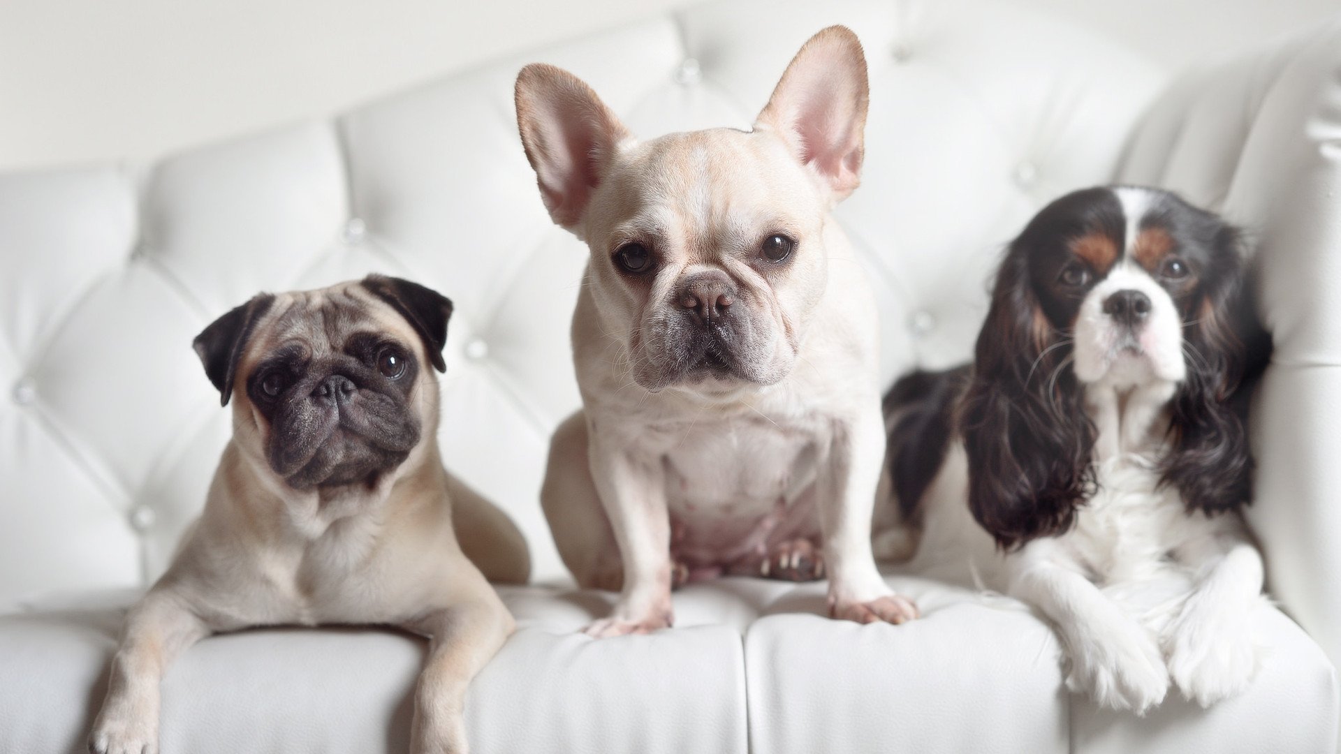 列支敦士登球队取得一场重要胜利,列支敦士登代表队