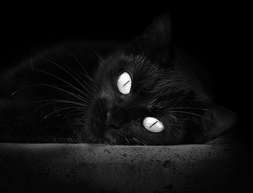 川崎前锋连续多场保持不败,川崎前锋连续多场保持不败怎么办