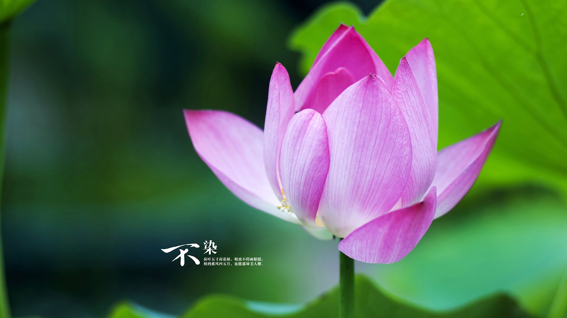 乐鱼（中国）体育官方网站-梅西连续传射助攻，球队攻势如虹，梅西助攻数