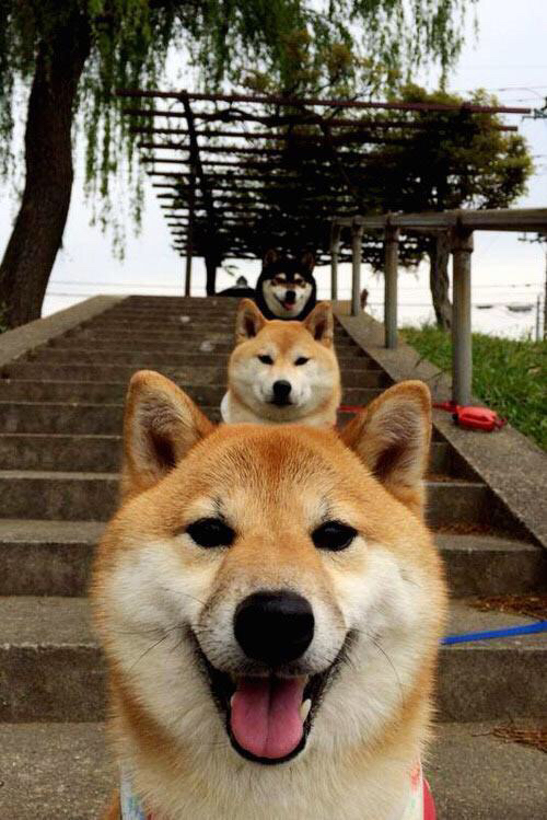 Leyu Sports (乐鱼体育)-米兰成为头号球队，实力暴露无疑，米兰球队是谁的