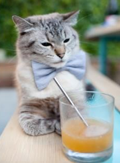 篮球专项动作捕捉技术创新与实践应用,篮球怎么抓的基本功