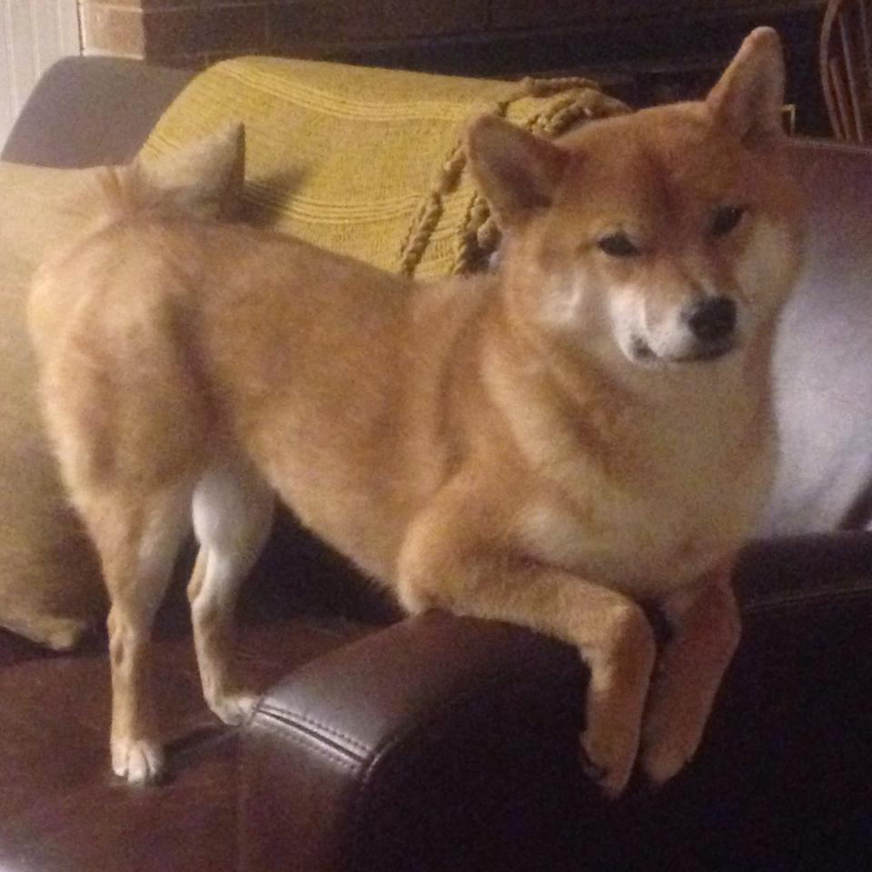 西甲俱乐部区域合作打造球迷生态圈案例,西甲俱乐部名称