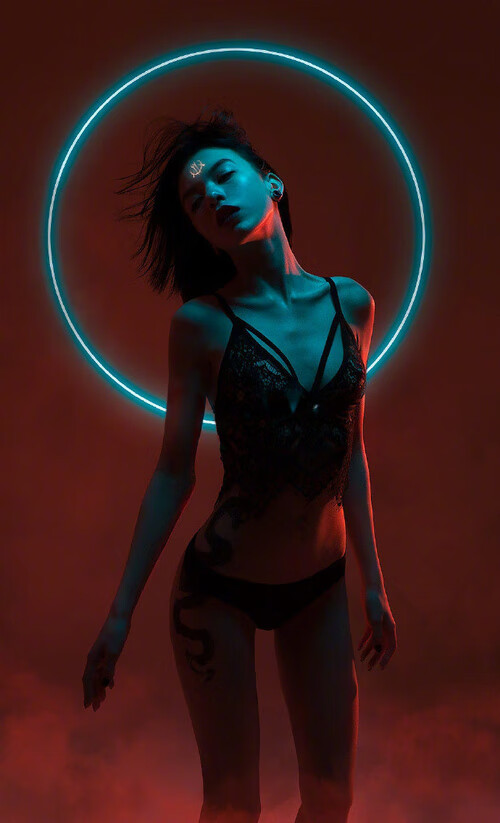 运动员运动科学支持系统，运动员系统训练