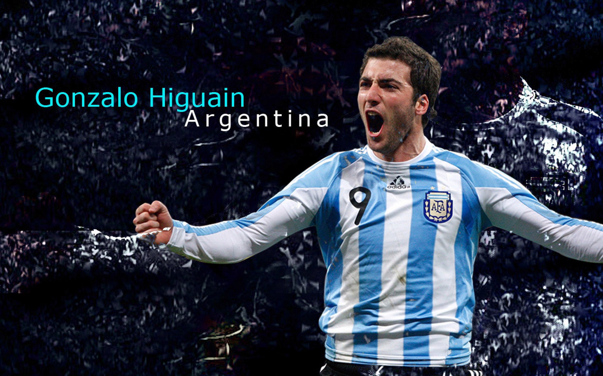 运动员运动科学支持系统，运动员系统训练