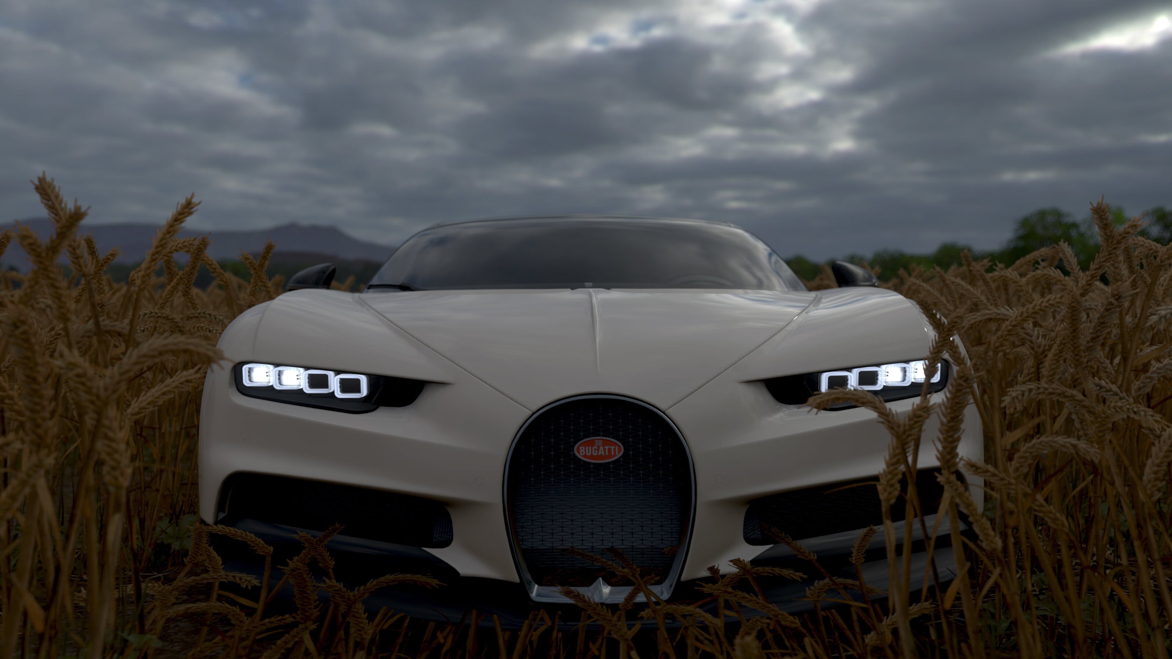 波兰队未来发展:聚焦技术细节,提升比赛的精准度,波兰队强不强