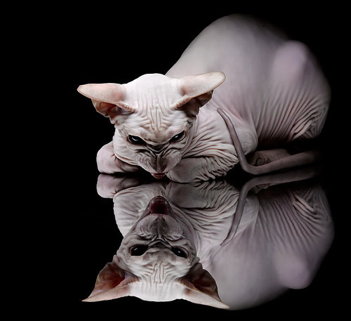 乐鱼体育(中国)官方网站-中国足球联赛赛场纪律管理进一步加强，中国足球协会纪律处罚办法