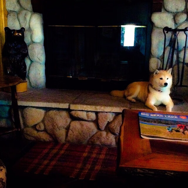 LEYU乐鱼体育官方网站-俱乐部宣布升级球队青训体系，注重系统培养，俱乐部青训条件