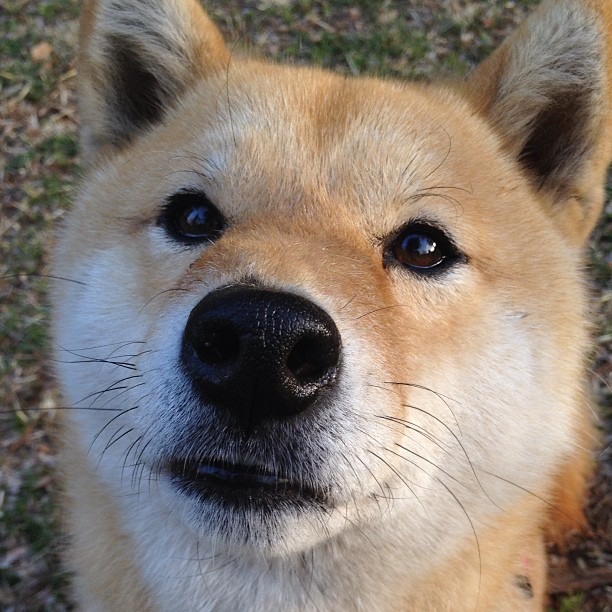 凯尔特人投篮训练课引媒体称赞节奏统一,凯尔特人投手