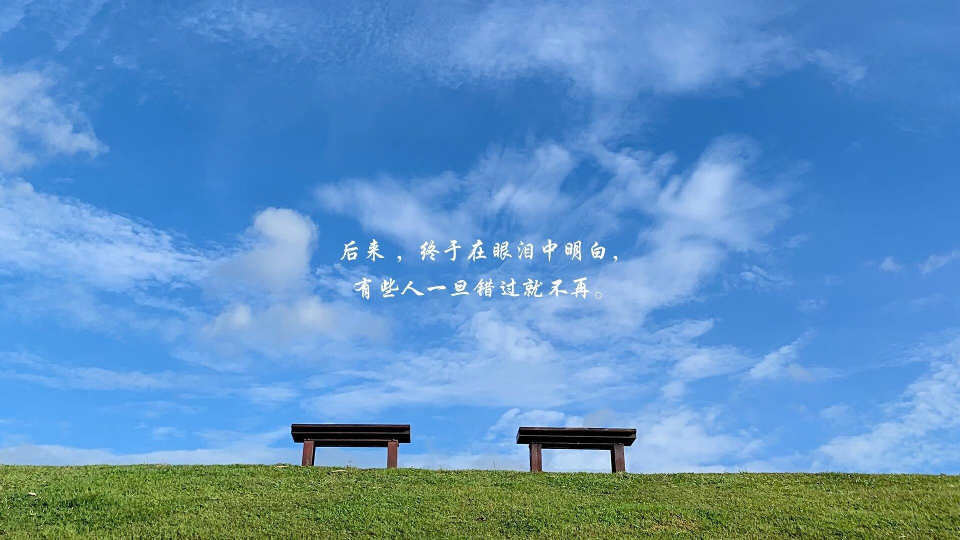 数字化青训数据平台推动青少年成长路径多元化,青少年数据管理平台